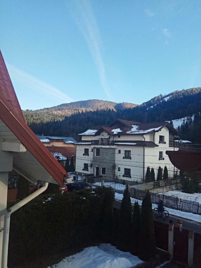 Casa Alexandru Hotel Azuga Exterior photo